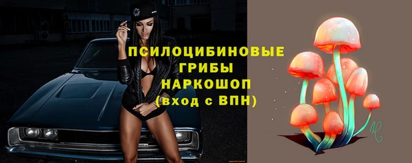 шишки Балабаново