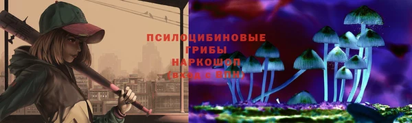 сатива Аркадак