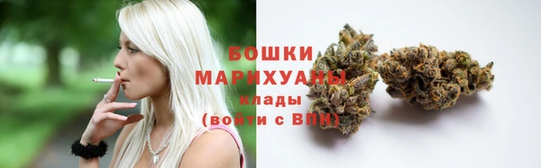шишки Балабаново
