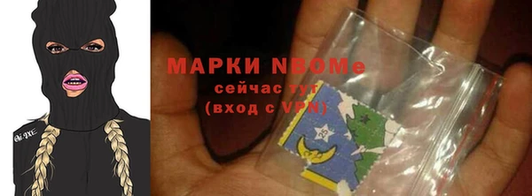 сатива Аркадак