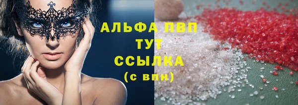 сатива Аркадак
